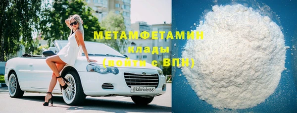 прущие грибы Белокуриха