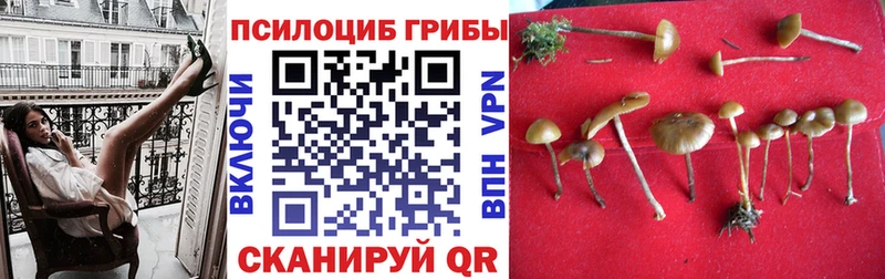 Псилоцибиновые грибы Magic Shrooms Короча